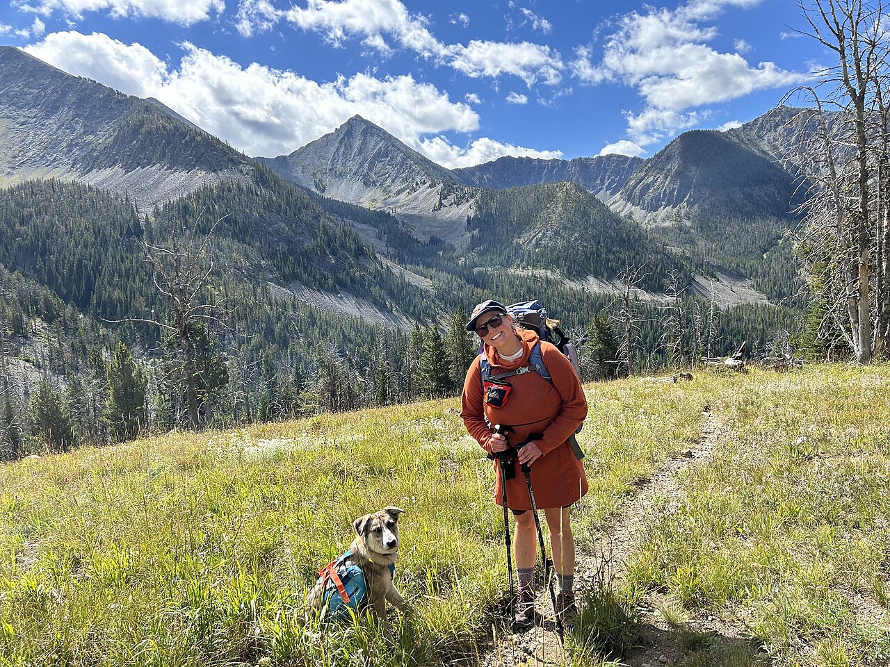 山の小道を犬と一緒に歩く様子