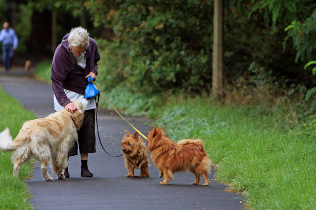 犬をつれて歩く飼い主